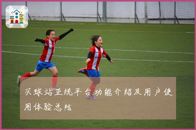 买球站正规平台功能介绍及用户使用体验总结