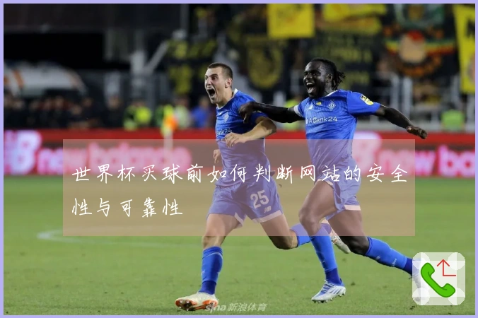 世界杯买球前如何判断网站的安全性与可靠性