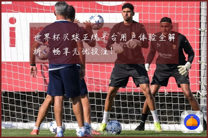 世界杯买球正规平台用户体验全解析，畅享无忧投注！