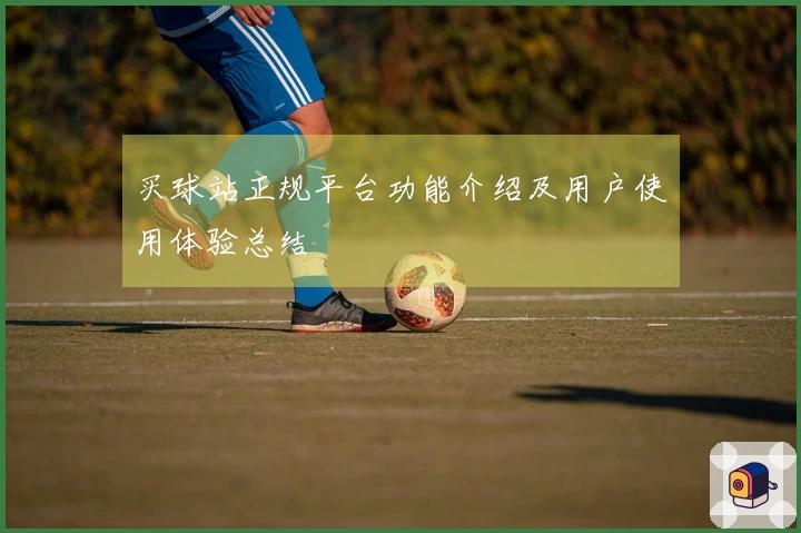 买球站正规平台功能介绍及用户使用体验总结
