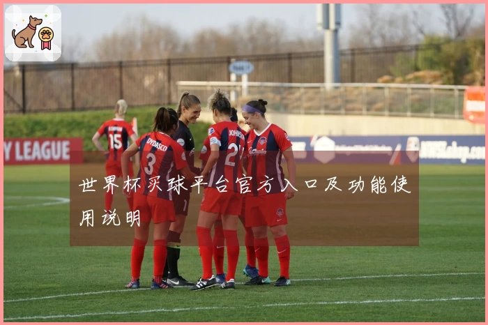 世界杯买球平台官方入口及功能使用说明