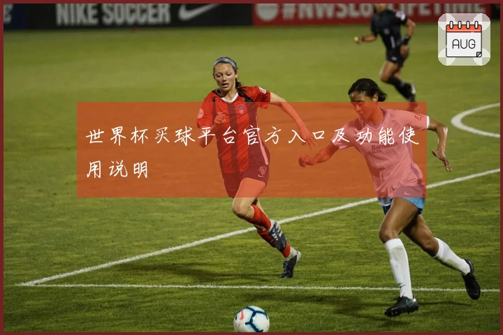 世界杯买球平台官方入口及功能使用说明