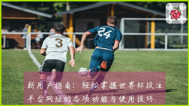 新用户指南：轻松掌握世界杯投注平台网址的各项功能与使用技巧